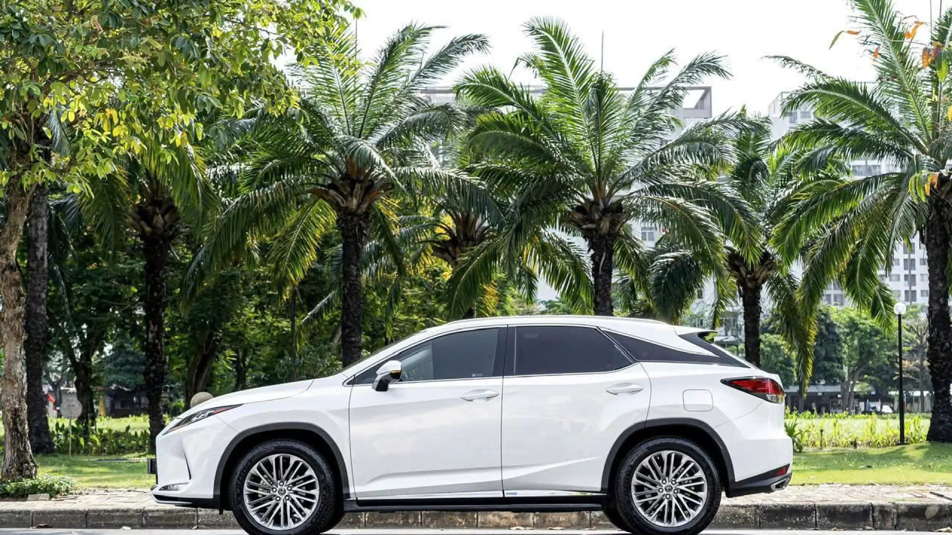 Lexus RX300 model 2021