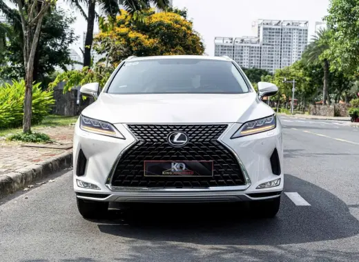 Lexus RX300 model 2021