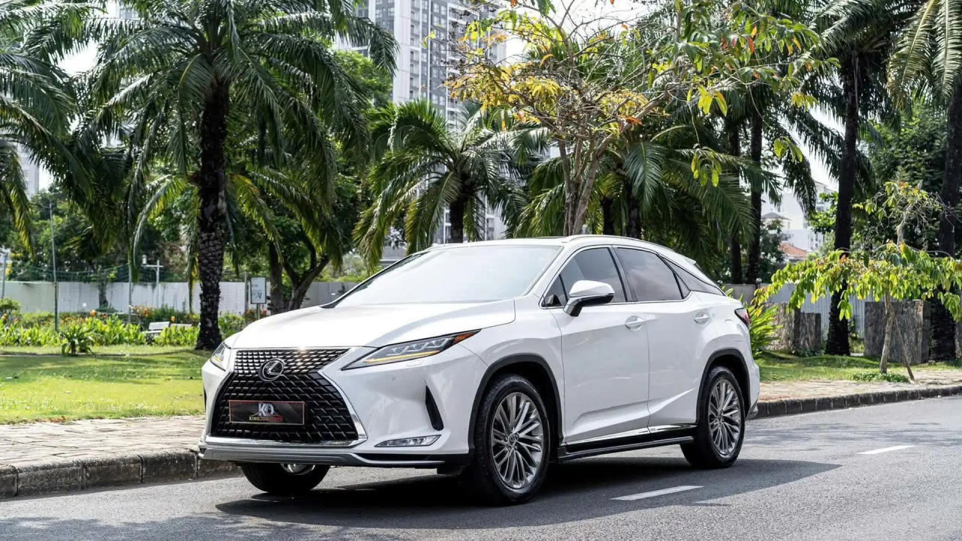 Lexus RX300 model 2021
